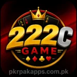 222C Game